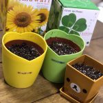 花の種